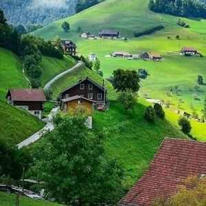 Meet your Posher, Chavis